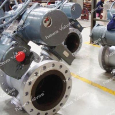 Butterfly Valves